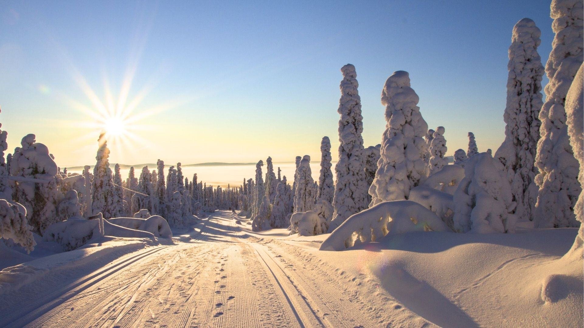 Talvinen maisema, jossa tykkylumipuita, hiihtolatu ja aurinko paistaa siniseltä taivaalta.