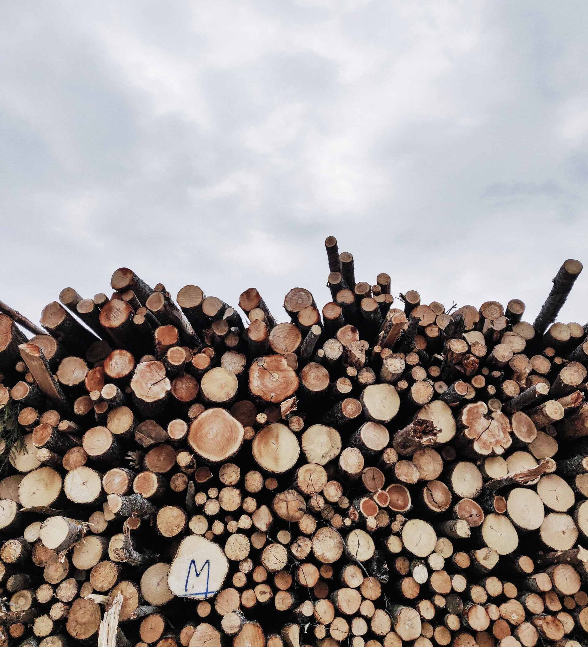 mika-korhonen-R-J1uGGdkug-unsplash-1 mika-korhonen-R-J1uGGdkug-unsplash-1